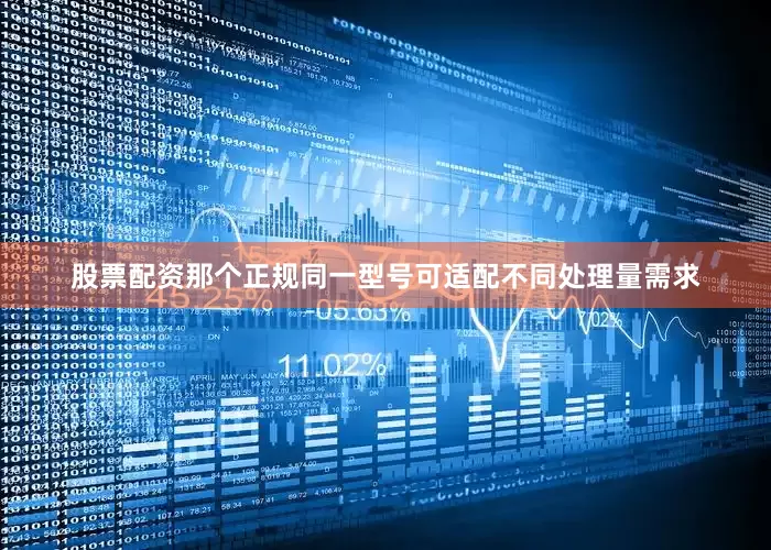 股票配资那个正规同一型号可适配不同处理量需求