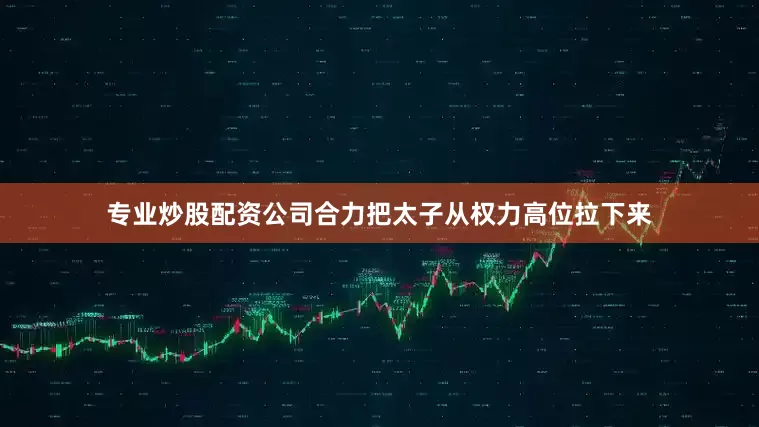 专业炒股配资公司合力把太子从权力高位拉下来