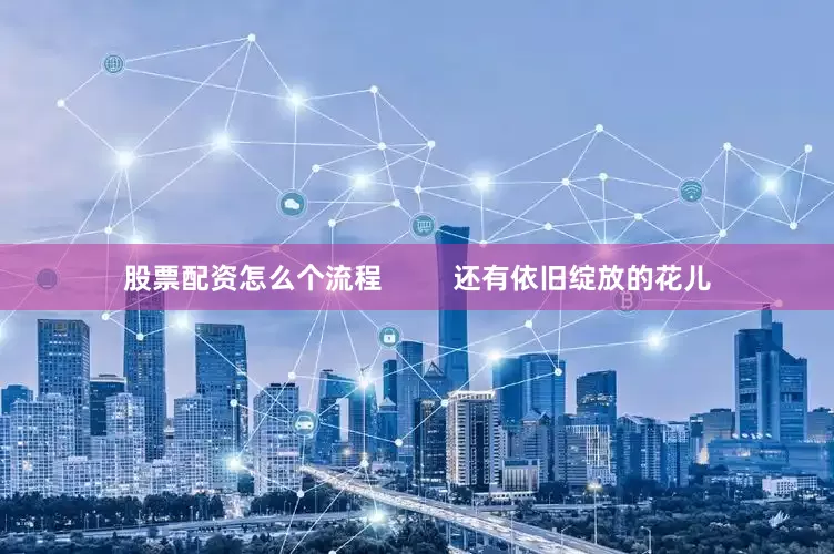 股票配资怎么个流程         还有依旧绽放的花儿