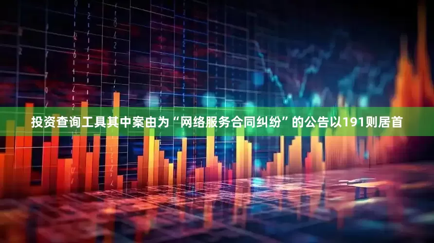 投资查询工具其中案由为“网络服务合同纠纷”的公告以191则居首