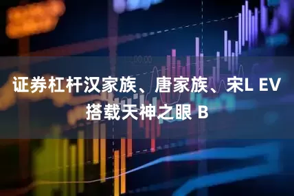 证券杠杆汉家族、唐家族、宋L EV搭载天神之眼 B