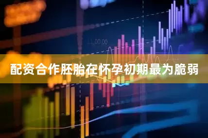 配资合作胚胎在怀孕初期最为脆弱